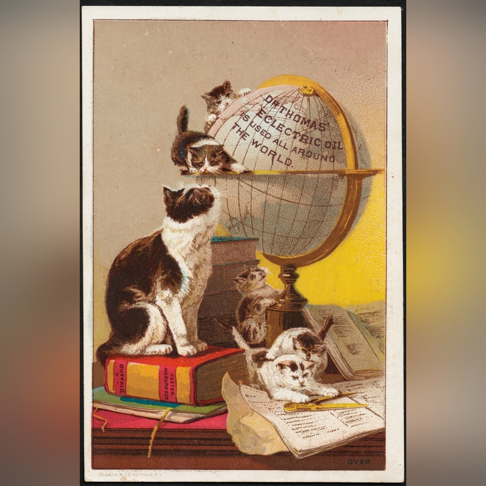 Vintage Cat Illustration Art Print